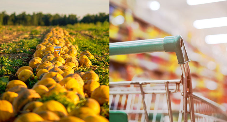 An image showing two sections. In the first section, a picture of pumpkins placed in a row, and in the other, a picture of a shopping cart in a store.