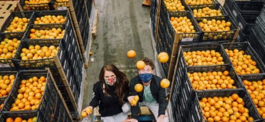 An image shows a girl and boy covering their faces with masks and playing with orange fruit.