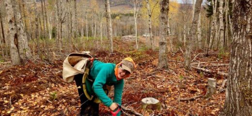 This image shows a woman planting trees with a funny face.